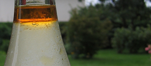 Links zum Destillieren und Brennen von Schnaps Schnaps & Co